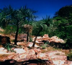 KLEINGRUPPENREISEN - 9 Tage Top End Intensiv